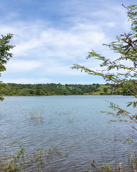 O lago visto por entre as árvores do cerrado